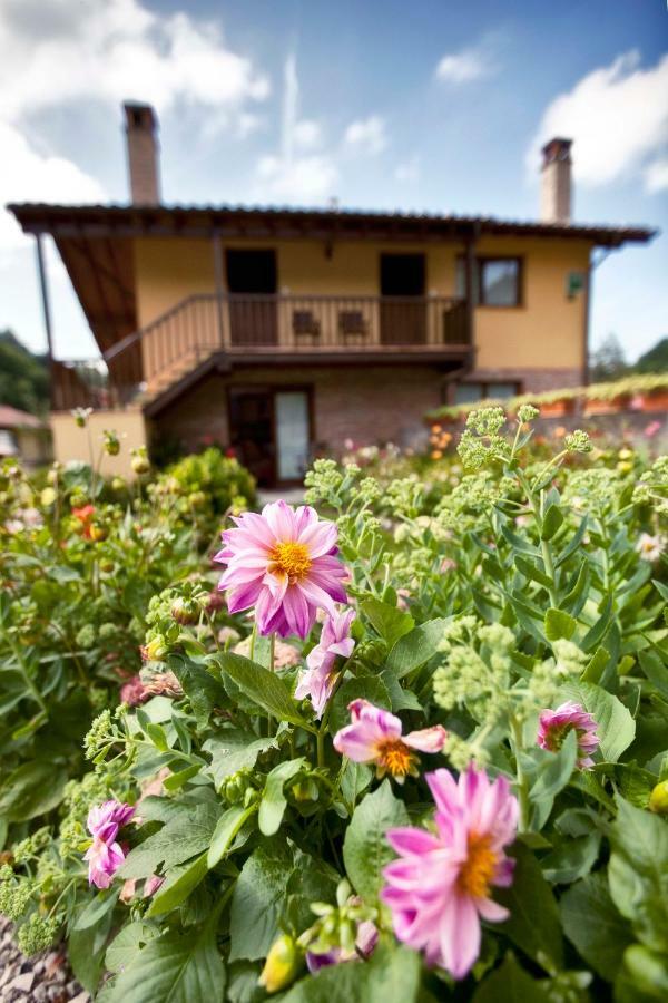 Apartamentos Rio Tabardin Llano-Con Zewnętrze zdjęcie